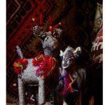 animalito fair in VISIONS アニマリートフェア