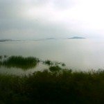 グアダラハラその１