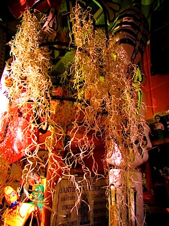 RIMG2010