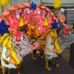 メキシコ買い付けジャーナル 18日目【10/23 メテペックその2】