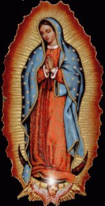 CTV,VirgenGuadalupe,7