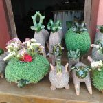 メキシコ買い付けジャーナル’17 【3/29 オアハカ アツォンパ】